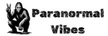 paranormal vibes logo